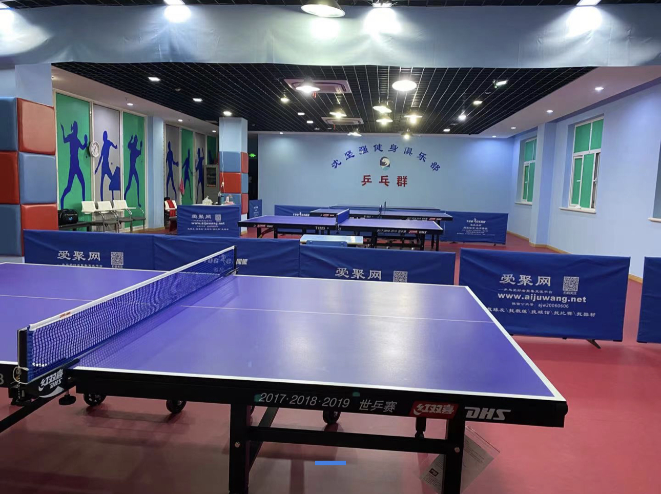 上海纵横飞速乒乓球俱乐部