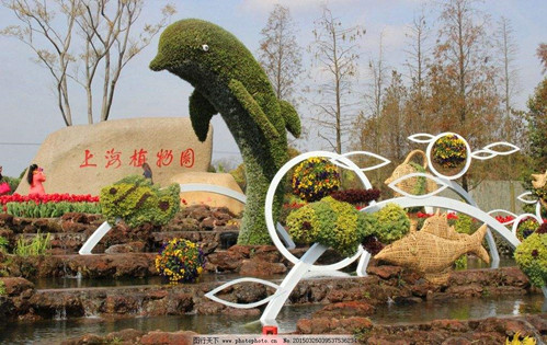 上海植物馆：植物组合盆栽